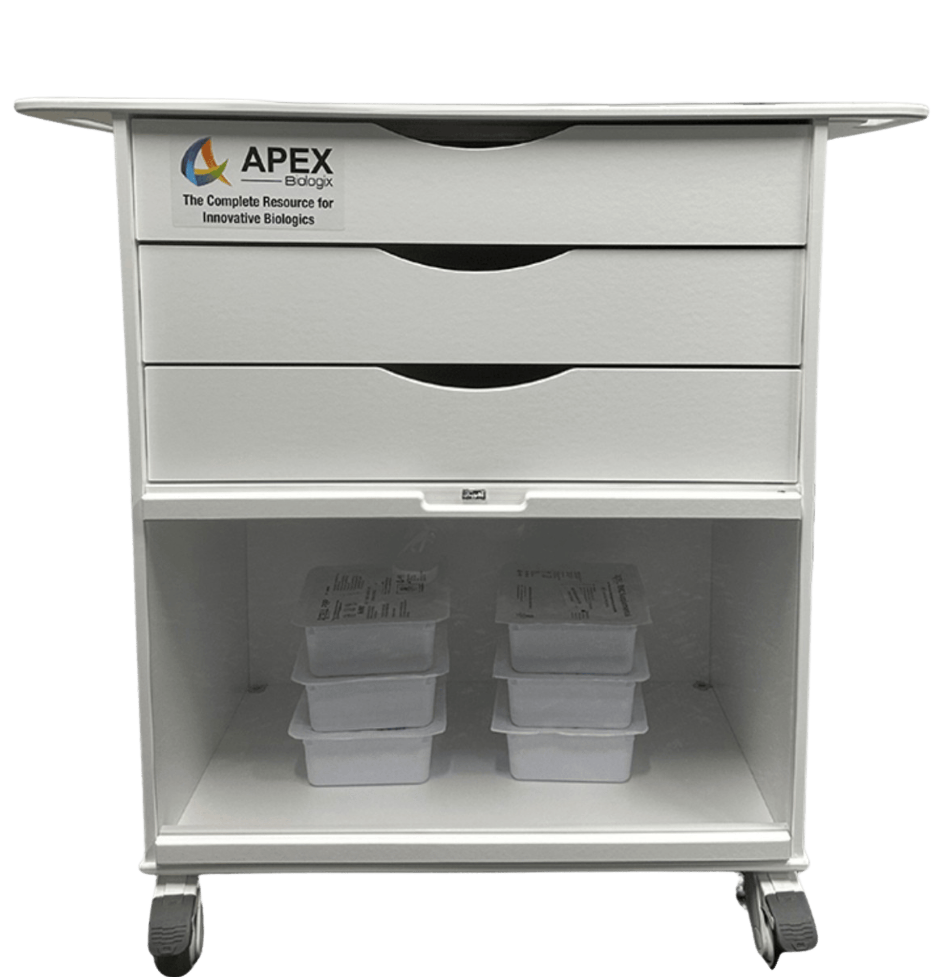 Untitled design (16)-1