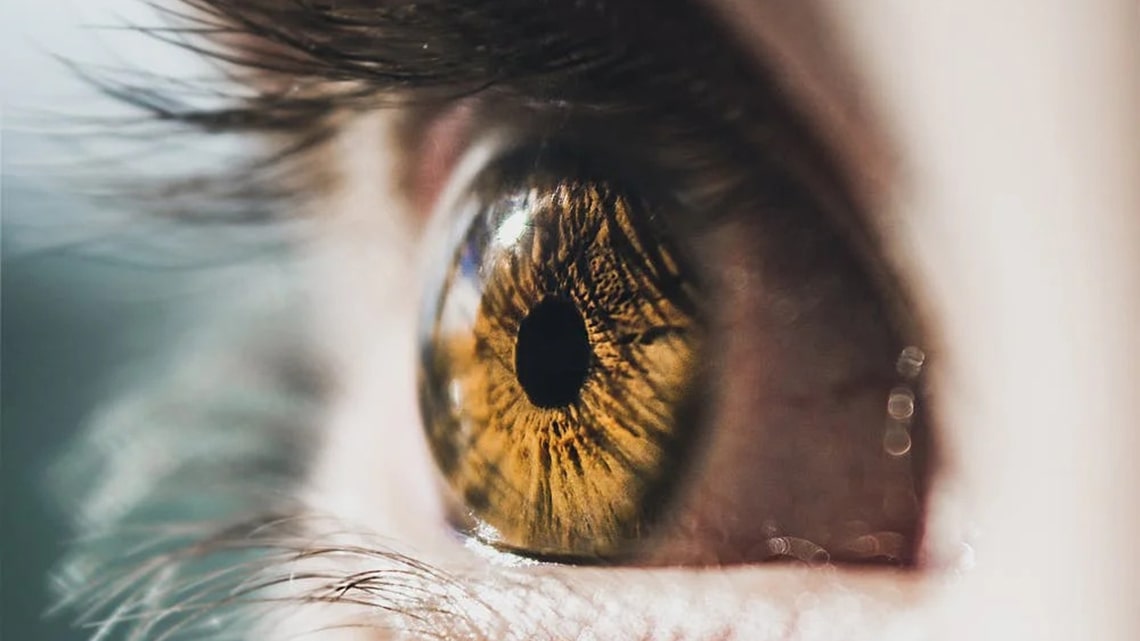 Retinal Stem Cell Study Offers Proof of Concept