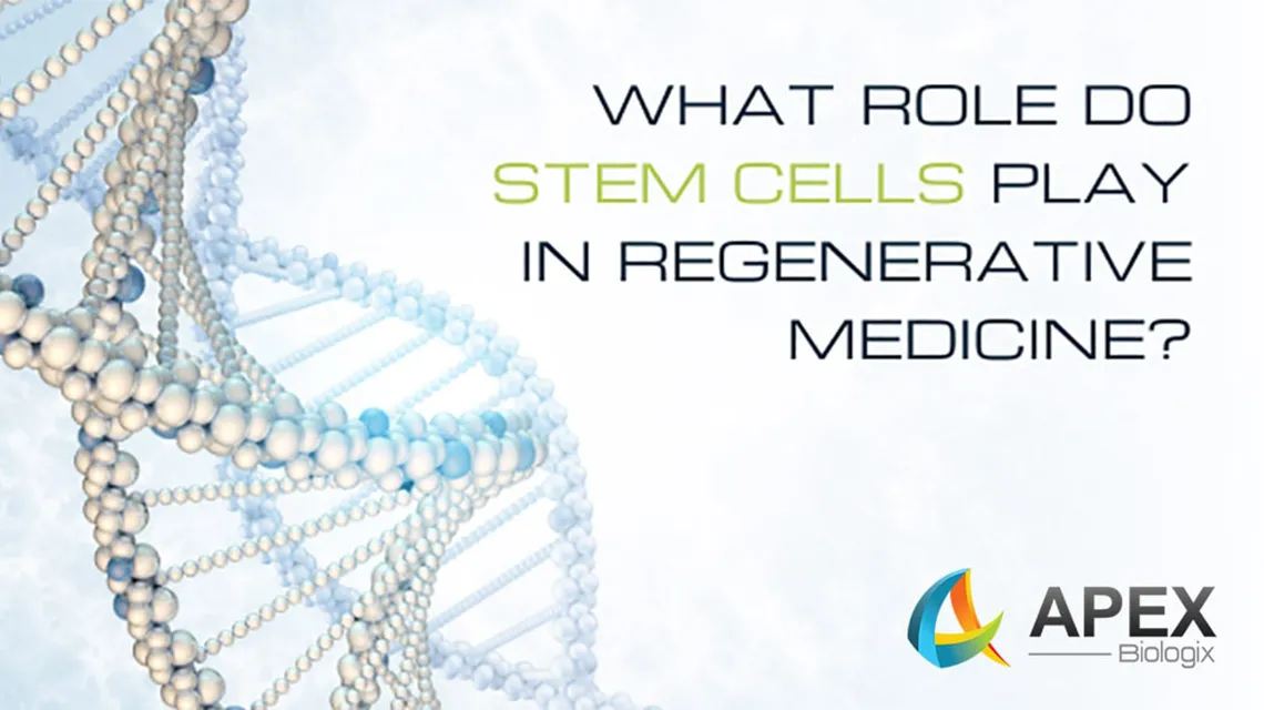 Stem cells role in regenerative medicine